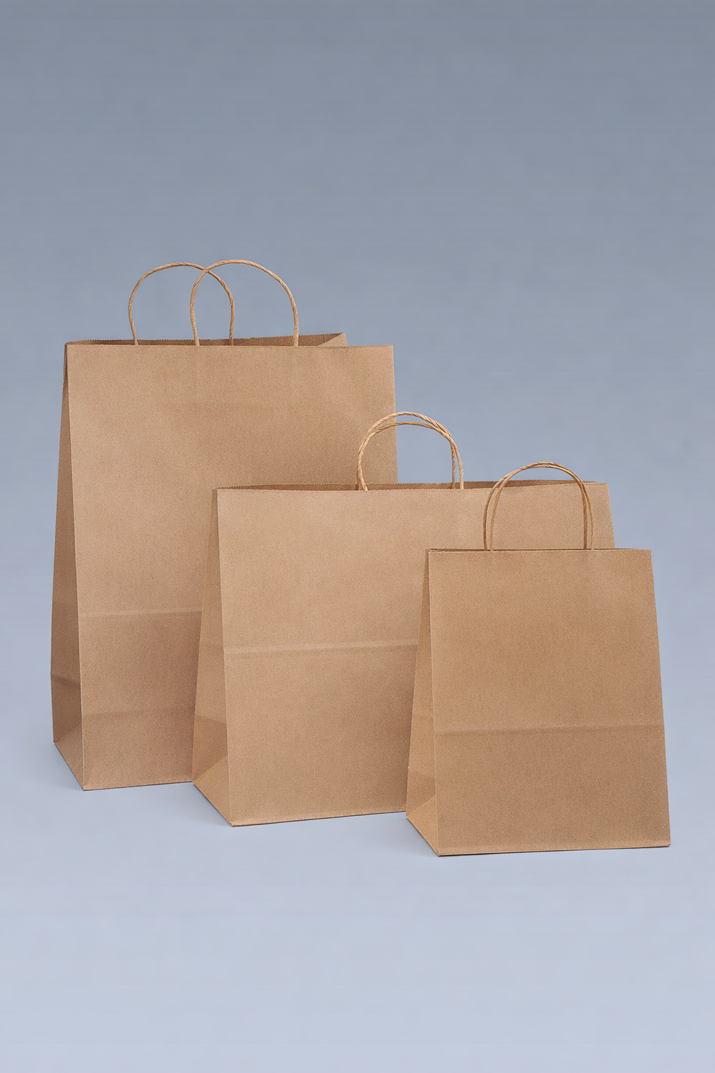 Recycled Paper Shopping